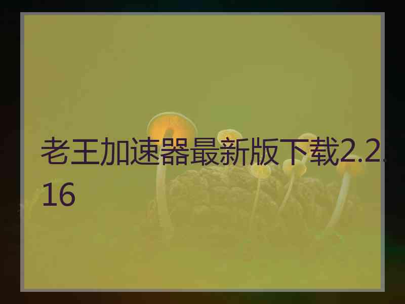 老王加速器最新版下载2.2.16