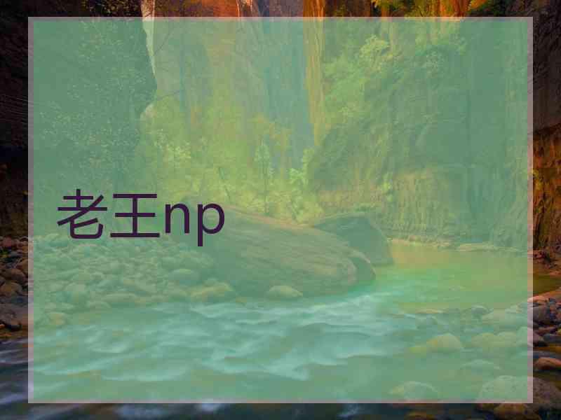 老王np