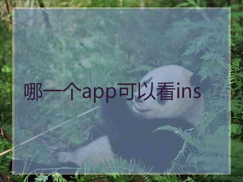 哪一个app可以看ins