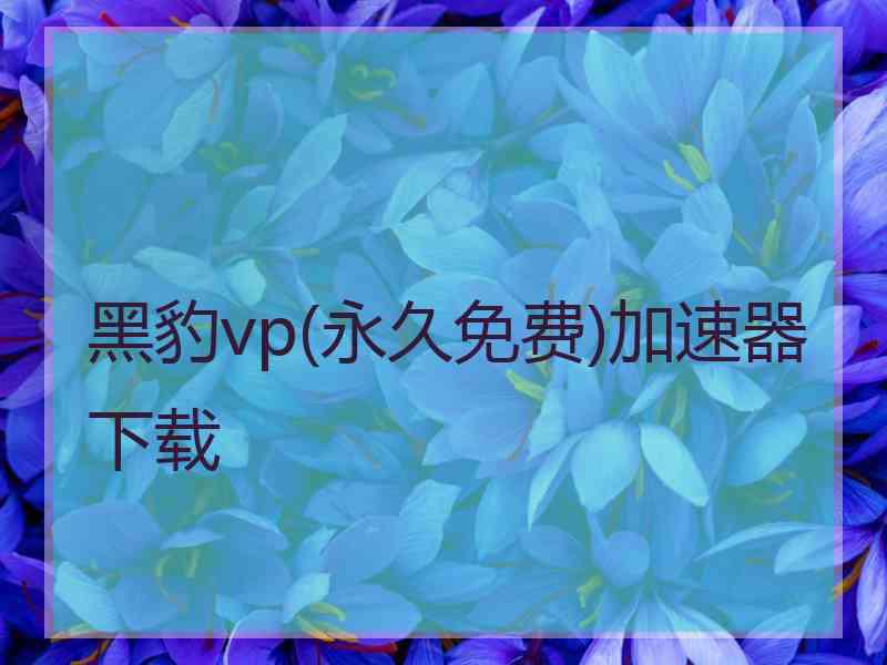 黑豹vp(永久免费)加速器下载