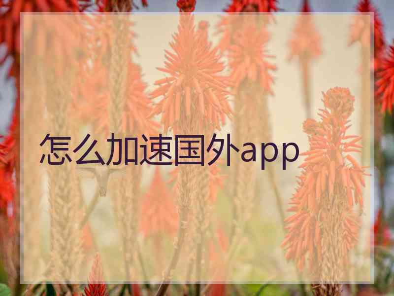 怎么加速国外app