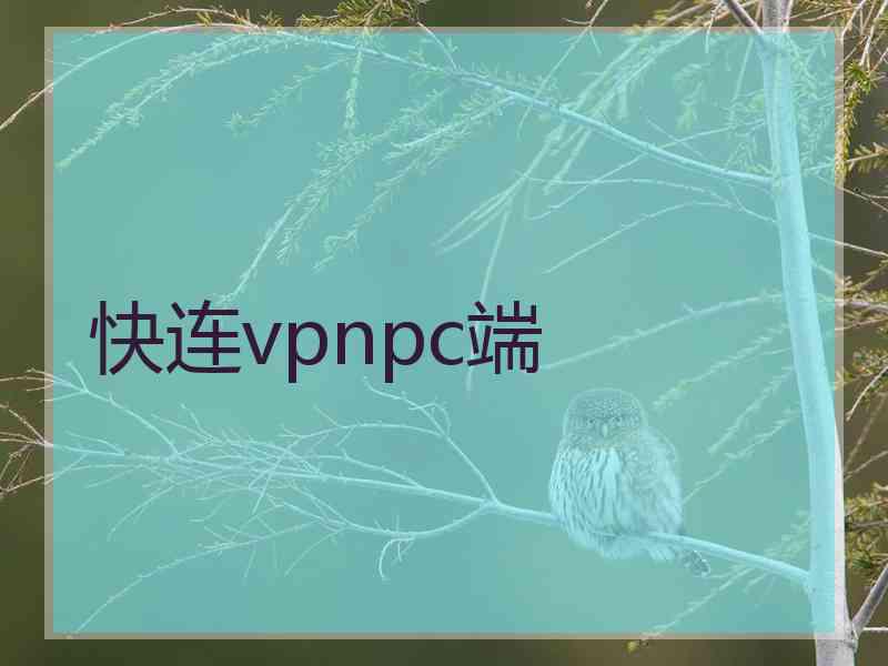 快连vpnpc端