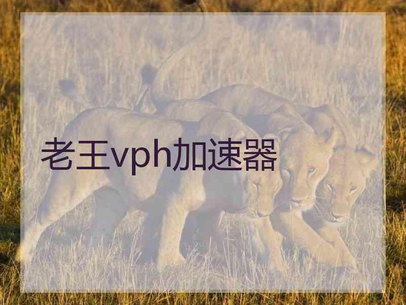 老王vph加速器