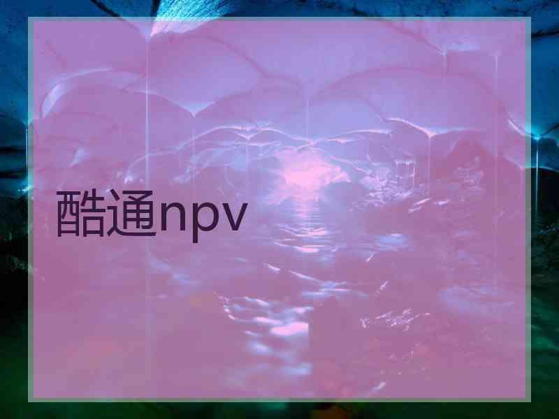 酷通npv