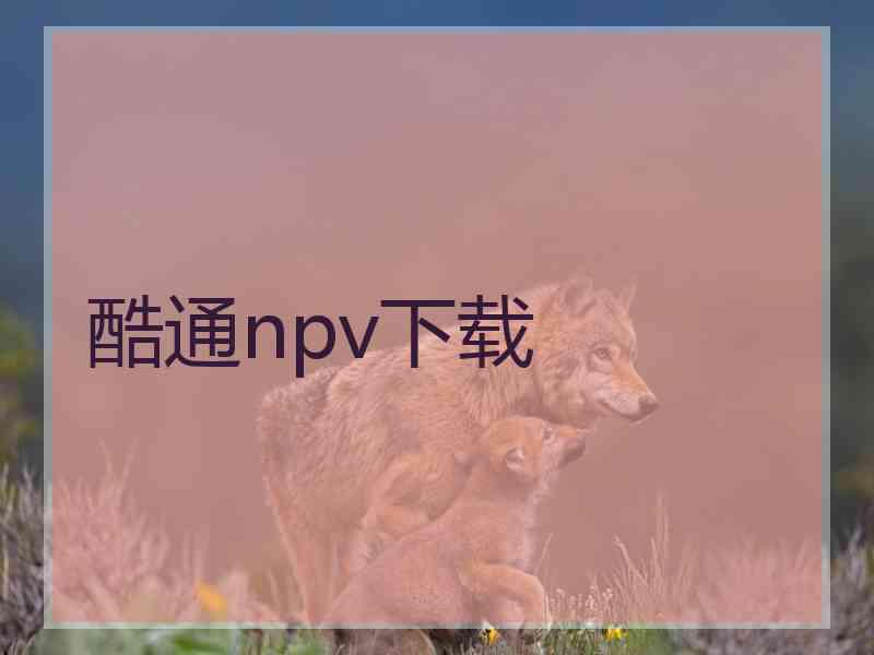 酷通npv下载