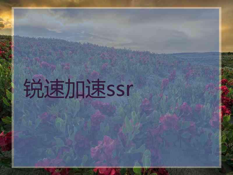 锐速加速ssr