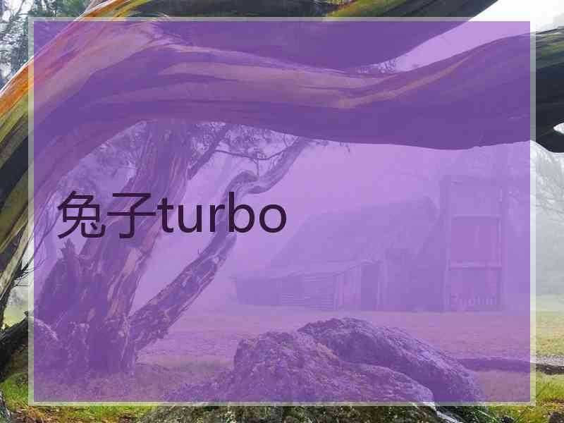 兔子turbo