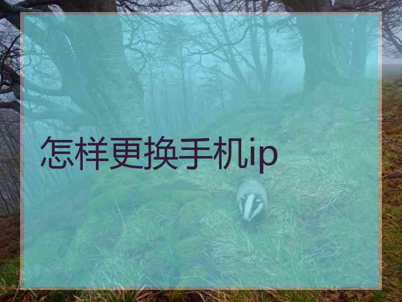 怎样更换手机ip