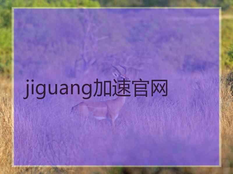 jiguang加速官网