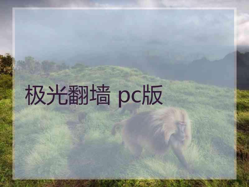 极光翻墙 pc版