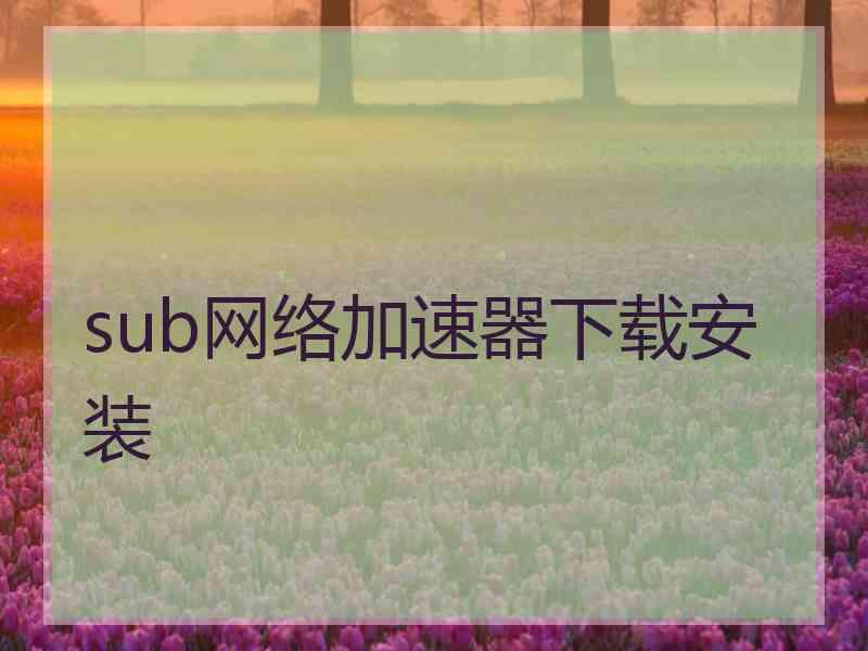 sub网络加速器下载安装