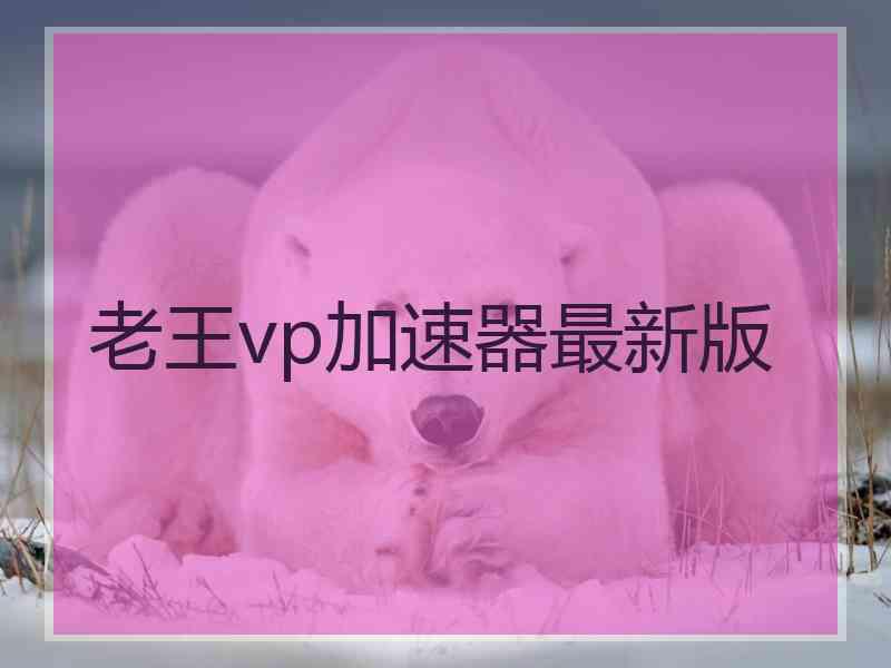 老王vp加速器最新版